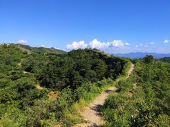 -蟠龙山长城景区