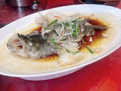 -大鸽饭(马王堆店)