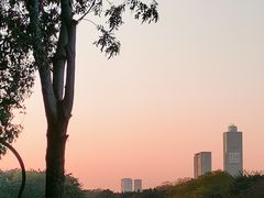 -海珠湖公园