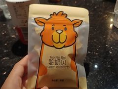 -塔哈尔·新疆盛宴(复地活力城店)