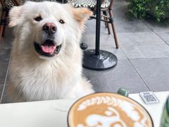 -LE MISSMORE餐酒吧(茉念西里店)