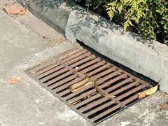 -广东水利电力职业技术学院(天河校区)