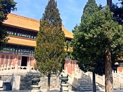 -历代帝王庙博物馆