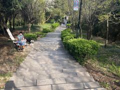 -太子山公园(园东路)