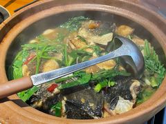 -九道菜有鸡鱼头(石鼓路店)