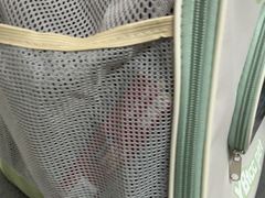 -半岛宠物医院24小时(白果林店)