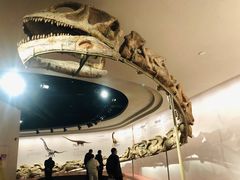 -自贡恐龙博物馆