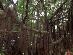 -胡里山炮台