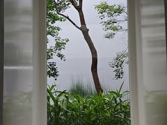 -大芬美术馆