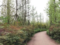 -白鹭湾湿地公园