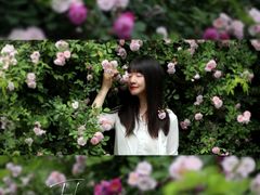 -白鹭湾湿地公园