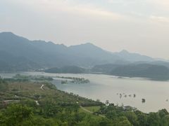 -杭州桐庐康莱德酒店西餐厅-舍