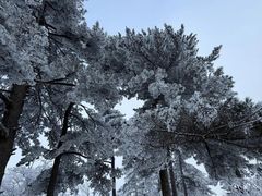 -安吉龙王山风景区