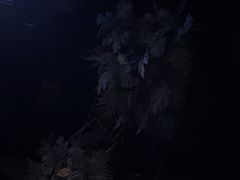 -黑桃K生日订制KTV