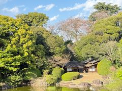 -东京国立博物馆
