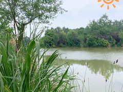 -白鹭湾湿地公园