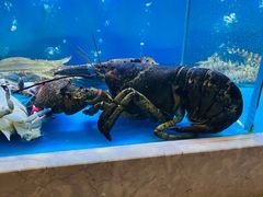 -龙兴食府(锦绣家园店)