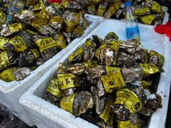 -芦潮港集贸市场