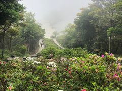 -梧桐山风景名胜区