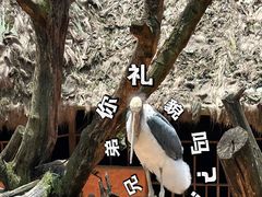 -云南野生动物园