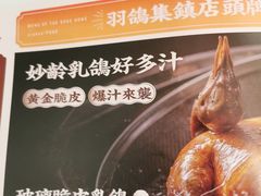 -羽鸽集·乳鸽专门店·地道顺德菜(岭南站店)