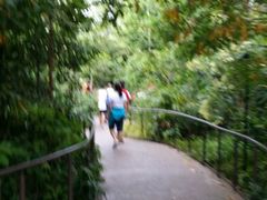 android_upload_pic-河川生态园