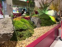-九鼎轩脆毛肚火锅(三钢里店)