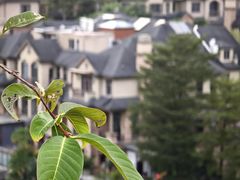 -白石龙音乐公园