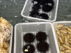 -禾记海鲜烧烤(八一路店)