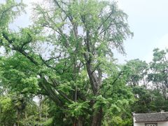 -三国赤壁古战场