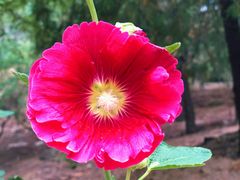 -白水寺森林公园