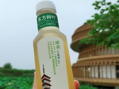 -荷塘月色湿地公园·向阳花洲