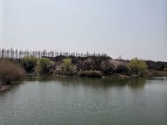 -南湖湿地公园