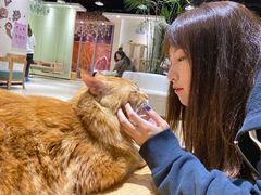 -藏猫猫咖啡主题馆(中央大道店)