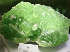 -湖南省地质博物馆