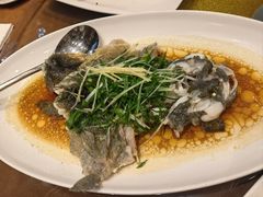 -熠盛粤味·顺德桑拿鸡(永康路店)