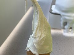 -野人先生现做冰淇淋(北京悠唐购物中心店)