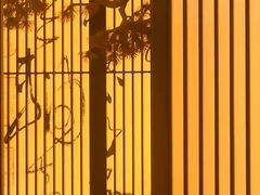 -苏面斋·本地传统苏式面馆