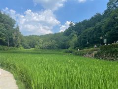 -韶山毛泽东同志故居