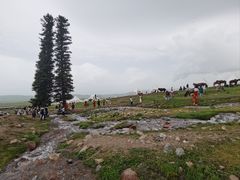 -新疆那拉提国家旅游度假区