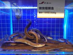 -船歌·鱼水饺青岛菜(石老人店)