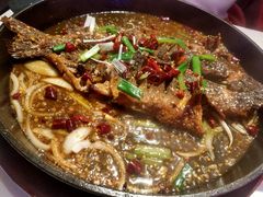 -壹鲦鱼·烤鱼·烧烤(泉城路店)