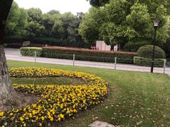 -荆川公园