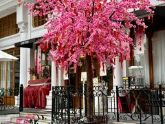 -秘密旅行Bonjour(黑金冠 江南西店)