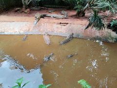 -海南热带野生动植物园
