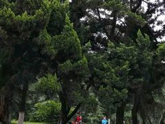 -沙市市中山公园