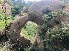 -六里坪国家森林公园