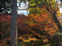 -三千院