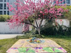 -硅谷蒙学幼儿园