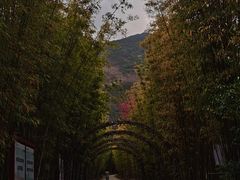 -蝴蝶泉公园